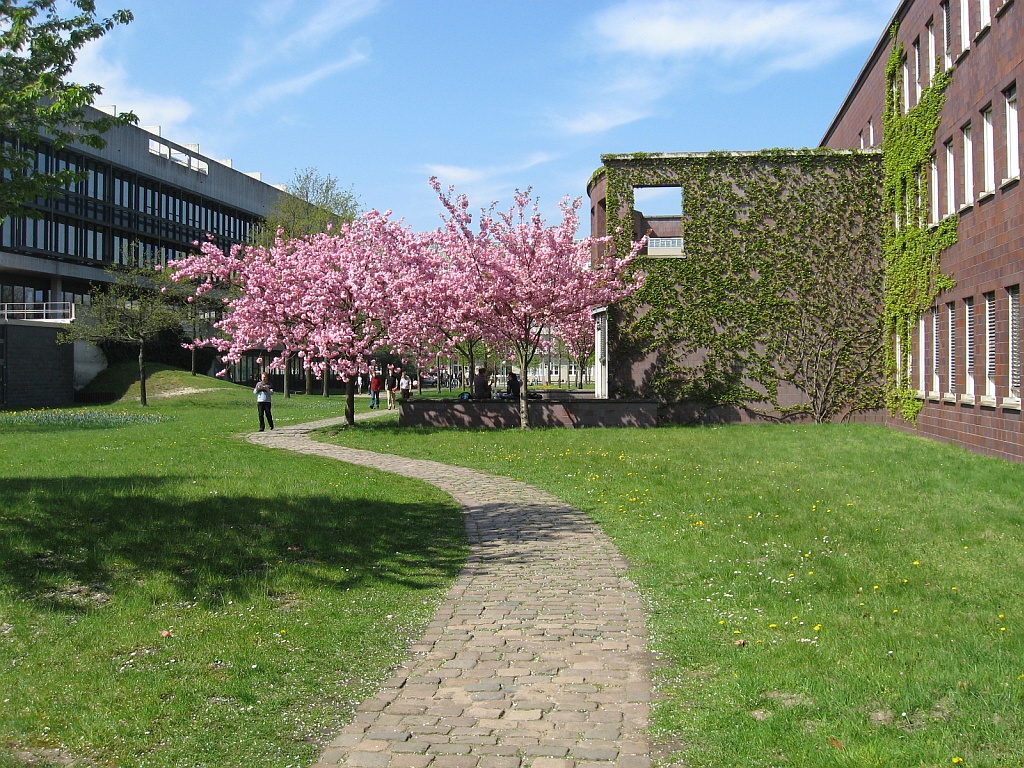 Panoramio-Archiv : Frhlingsblte auf dem Campus - Lehe, Horn-Lehe, Bremen - 04.2009